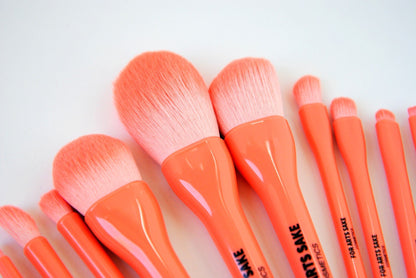 10 Piece Makeup Brush Set | Coral - For Arts Sake Cosmetics